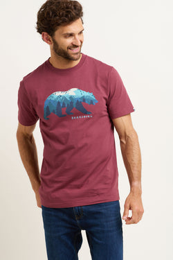 North face bear sales t shirt