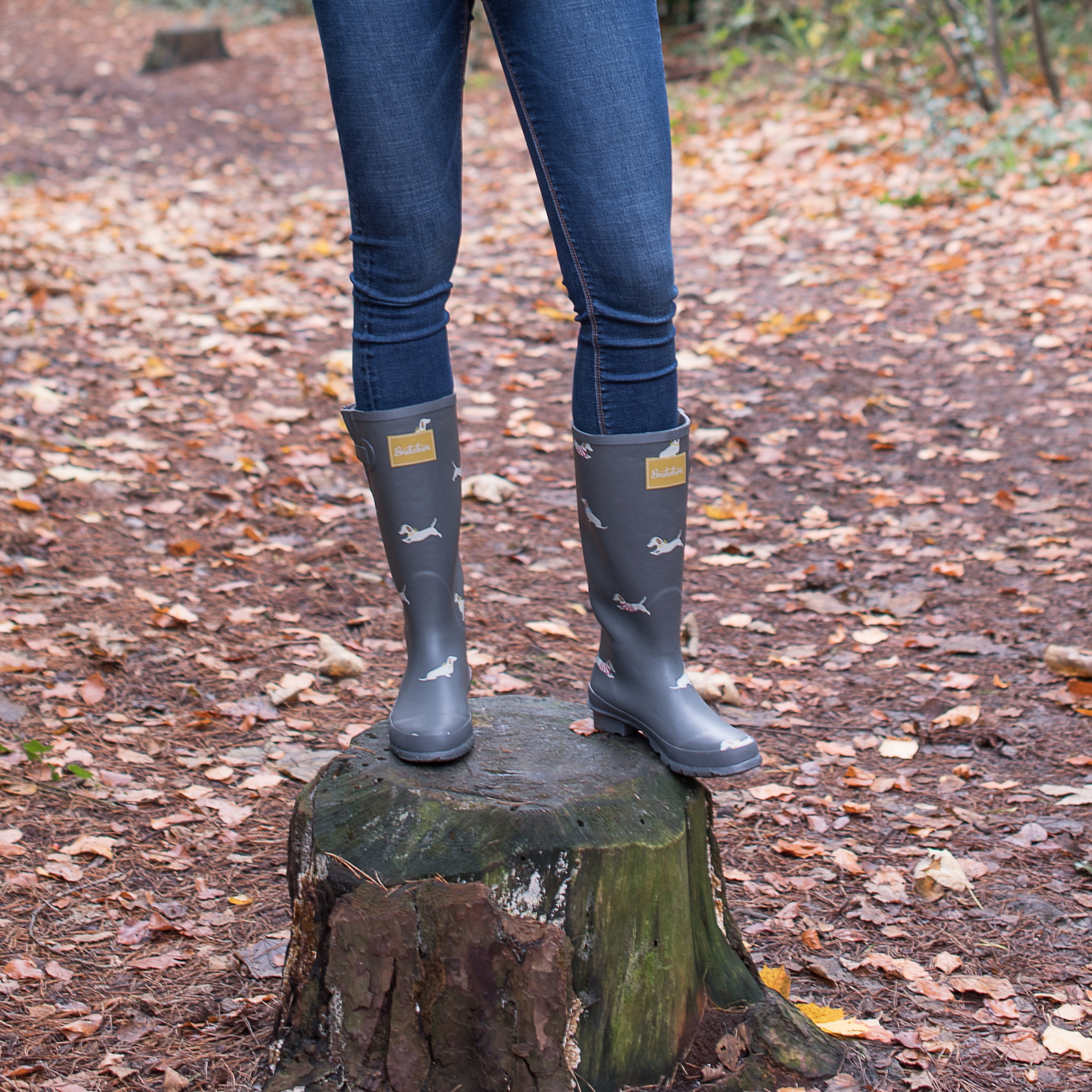 Sausage Dog Wellies Brakeburn